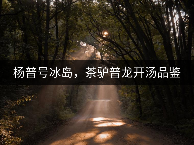 楊普號(hào)冰島，茶驢普龍開湯品鑒