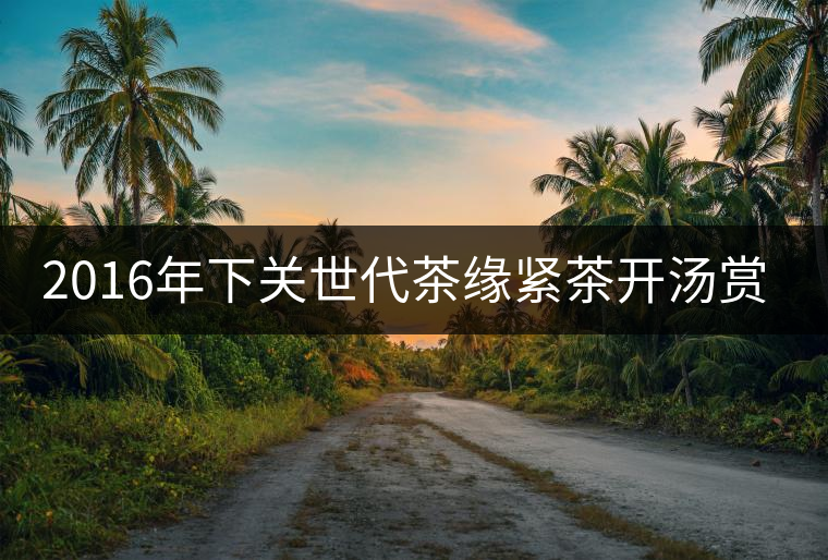 2016年下關(guān)世代茶緣緊茶開湯賞析