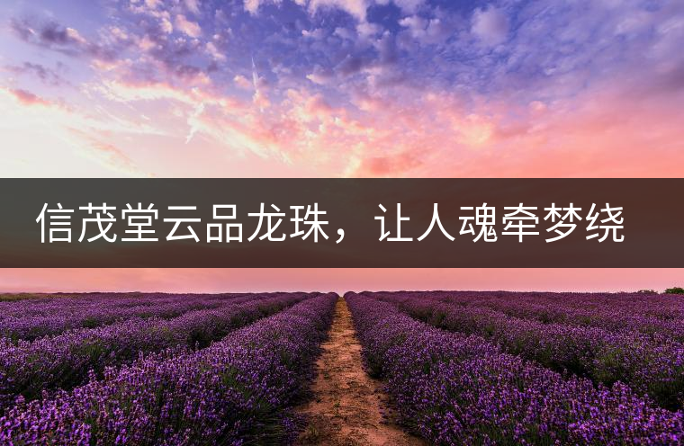 信茂堂云品龍珠，讓人魂?duì)繅衾@的尤物