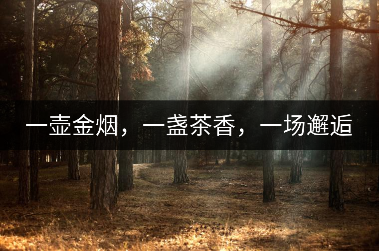 一壺金煙，一盞茶香，一場邂逅