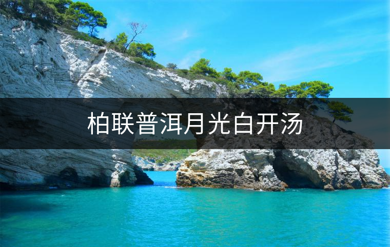 柏聯(lián)普洱月光白開湯 柏聯(lián)普洱月光白開湯