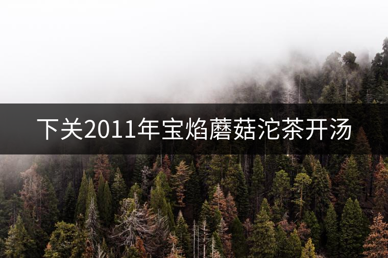 下關2011年寶焰蘑菇沱茶開湯 下關2011年寶焰蘑菇沱茶開湯