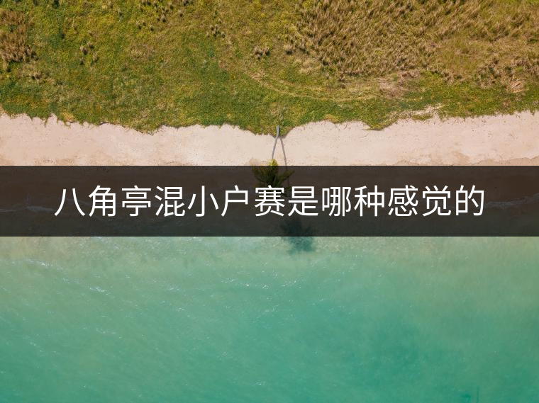 八角亭混小戶賽是哪種感覺(jué)的