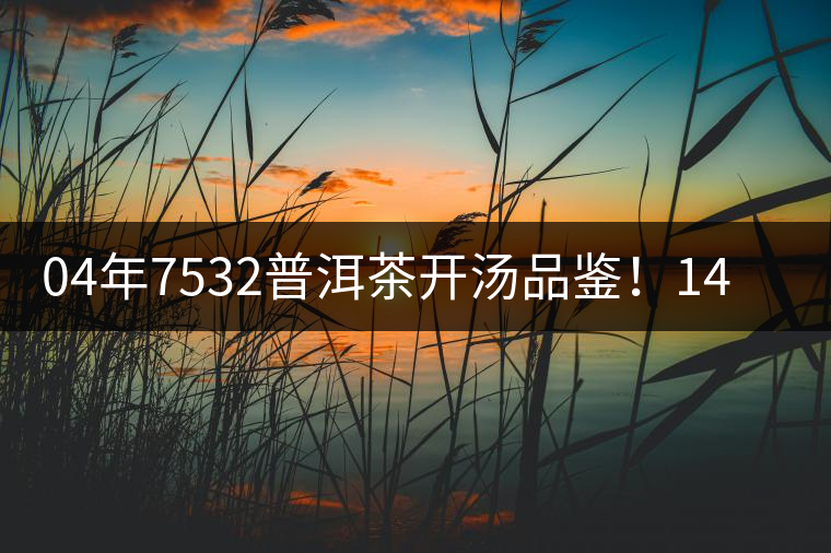 04年7532普洱茶開(kāi)湯品鑒！14年轉(zhuǎn)化，經(jīng)典雪印配方！
