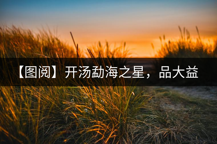 【圖閱】開(kāi)湯勐海之星，品大益熟茶滋味