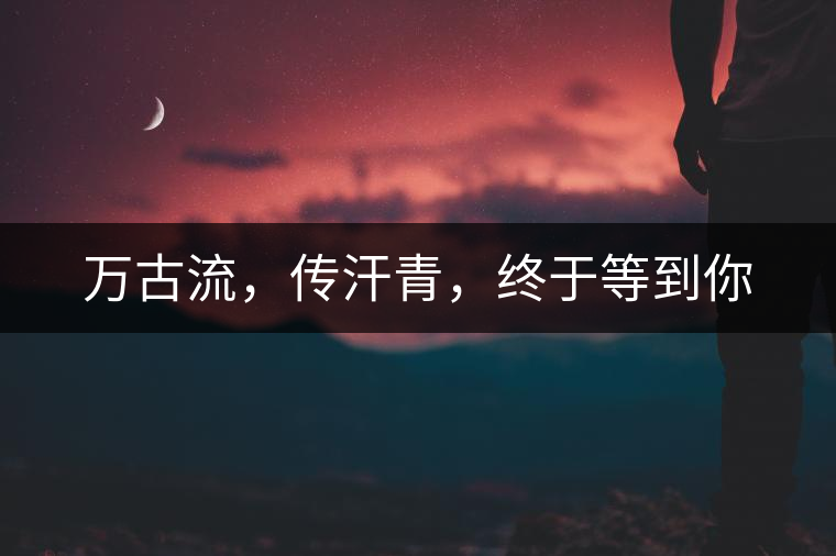 萬(wàn)古流，傳汗青，終于等到你