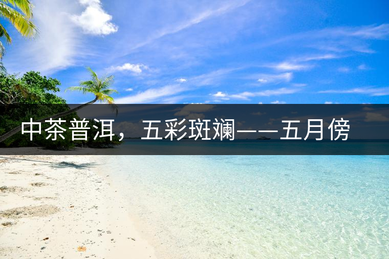 中茶普洱，五彩斑斕——五月傍晚，一道茶