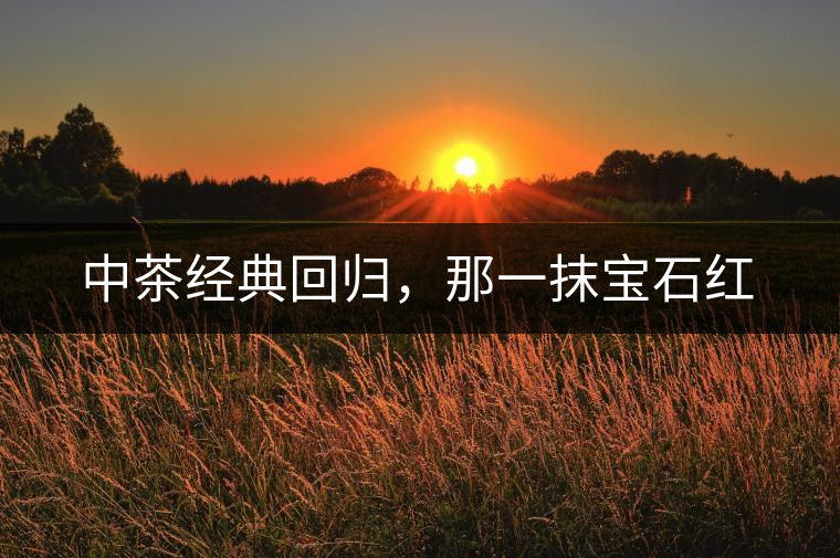 中茶經(jīng)典回歸，那一抹寶石紅