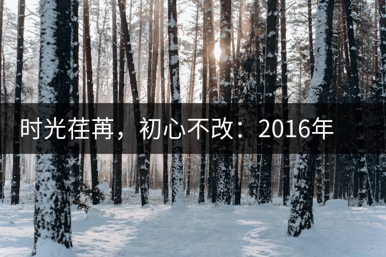 時(shí)光荏苒，初心不改：2016年老同志為天下人做好茶開湯