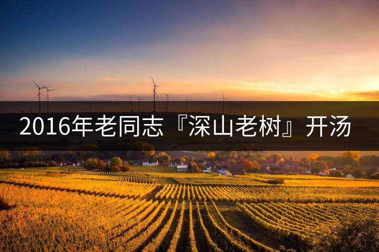 2016年老同志『深山老樹(shù)』開(kāi)湯品鑒 2016年老同志『深山老樹(shù)』開(kāi)湯品鑒