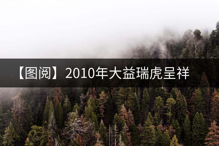 【圖閱】2010年大益瑞虎呈祥開湯品鑒 【圖閱】2010年大益瑞虎呈祥開湯品鑒