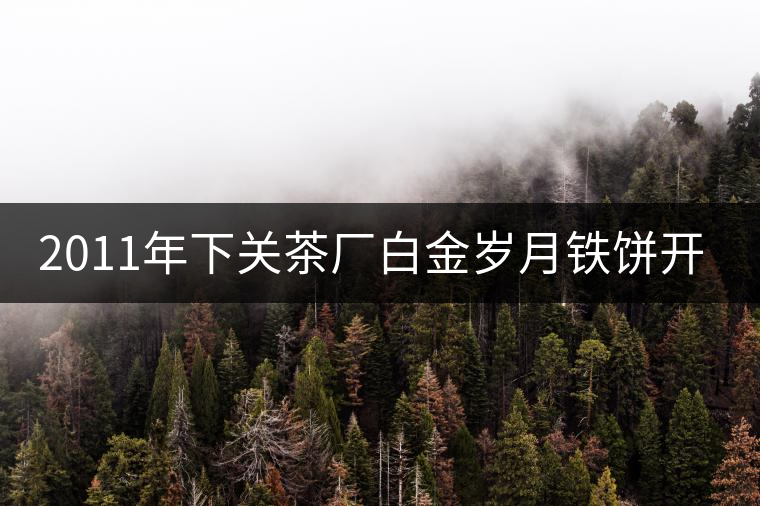 2011年下關(guān)茶廠白金歲月鐵餅開(kāi)湯品鑒
