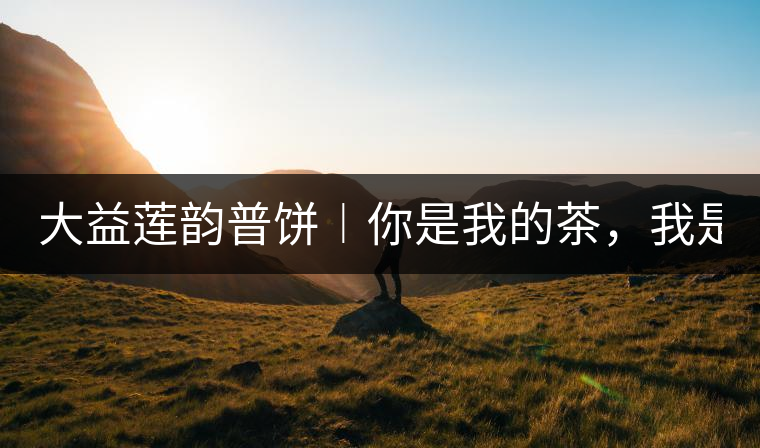 大益蓮韻普餅︱你是我的茶，我是你的人！