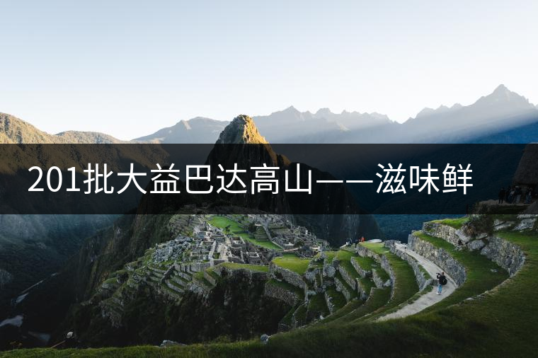 201批大益巴達(dá)高山——滋味鮮爽醇厚，回甘高而持久