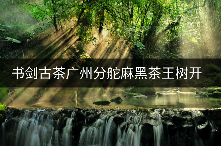 書(shū)劍古茶廣州分舵麻黑茶王樹(shù)開(kāi)湯品鑒