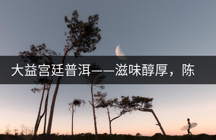 大益宮廷普洱——滋味醇厚，陳香濃郁