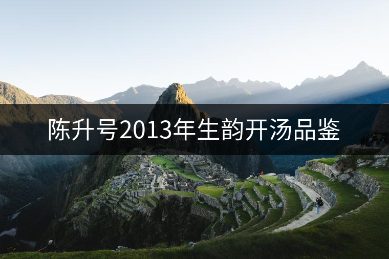 陳升號2013年生韻開湯品鑒