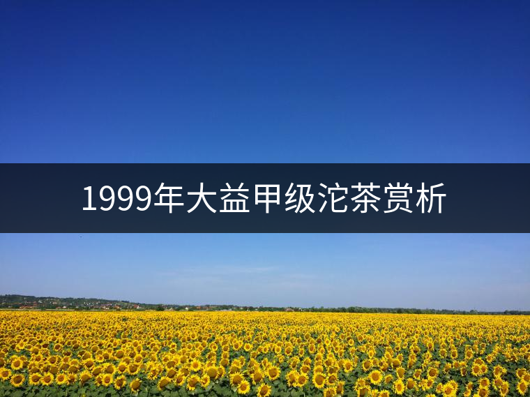 1999年大益甲級(jí)沱茶賞析