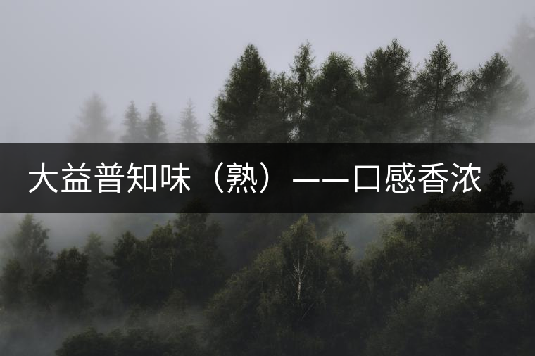 大益普知味（熟）——口感香濃，陳香味足