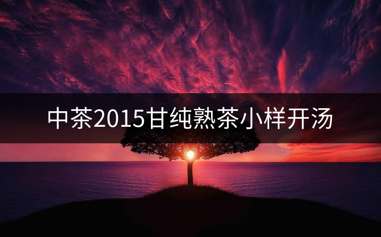 中茶2015甘純熟茶小樣開湯