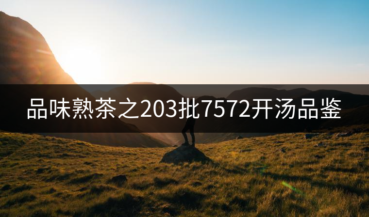 品味熟茶之203批7572開湯品鑒 品味熟茶之203批7572開湯品鑒