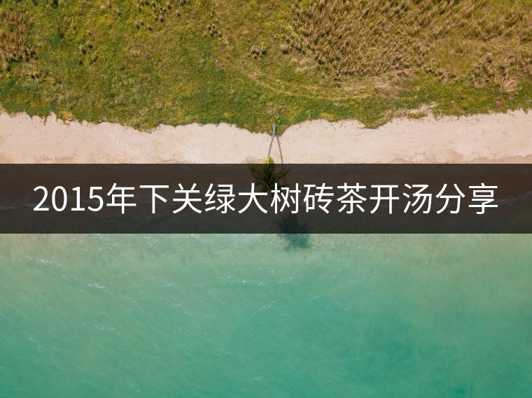 2015年下關(guān)綠大樹磚茶開湯分享 2015年下關(guān)綠大樹磚茶開湯分享
