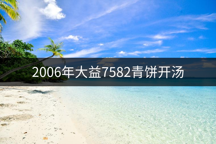 2006年大益7582青餅開湯 2006年大益7582青餅開湯