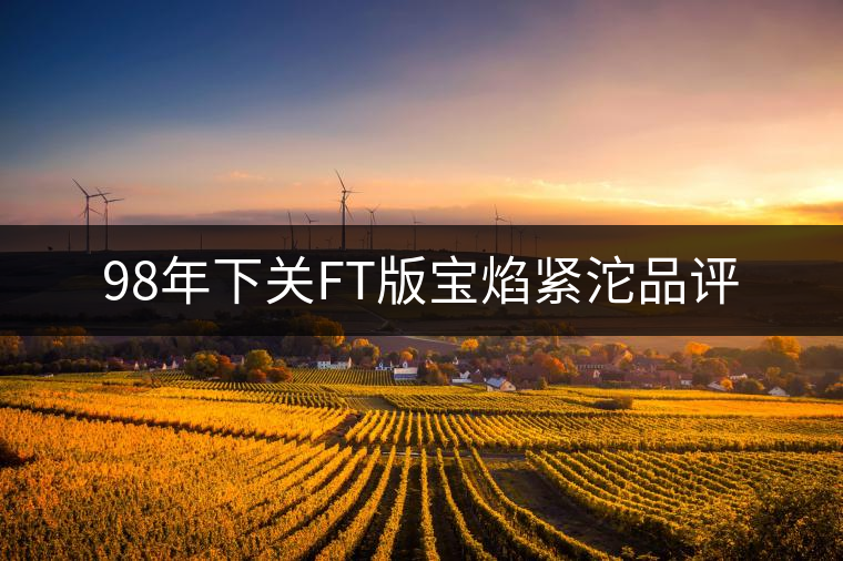 98年下關(guān)FT版寶焰緊沱品評 98年下關(guān)FT版寶焰緊沱品評