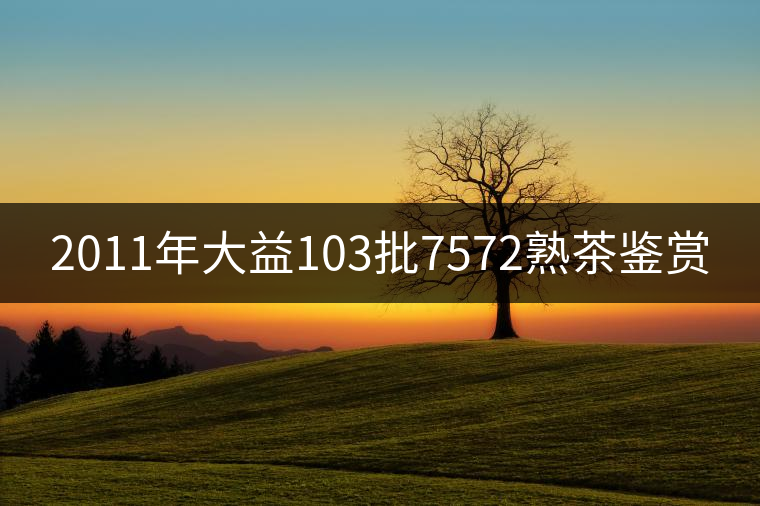 2011年大益103批7572熟茶鑒賞