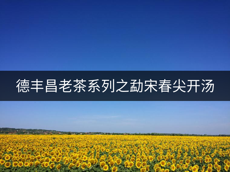 德豐昌老茶系列之勐宋春尖開(kāi)湯