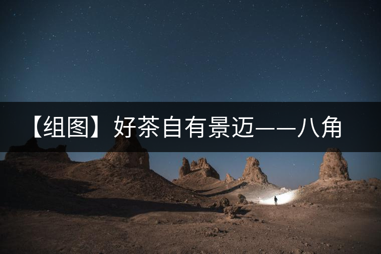 【組圖】好茶自有景邁——八角亭大典景邁開湯