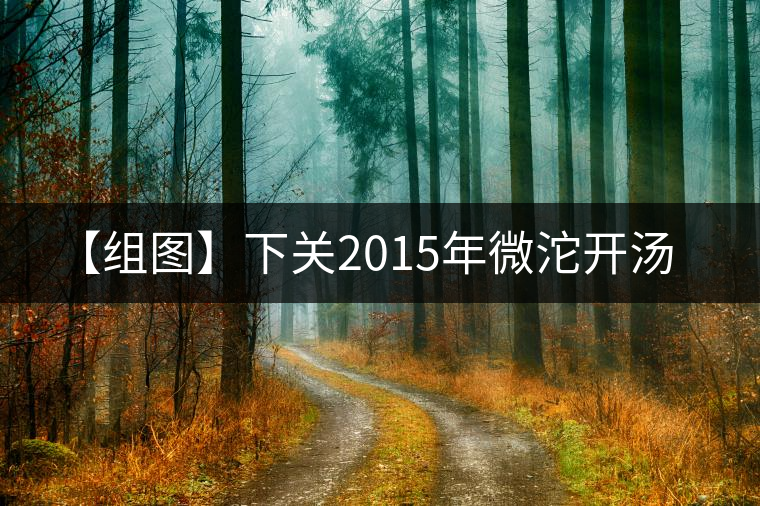 【組圖】下關2015年微沱開湯 【組圖】下關2015年微沱開湯