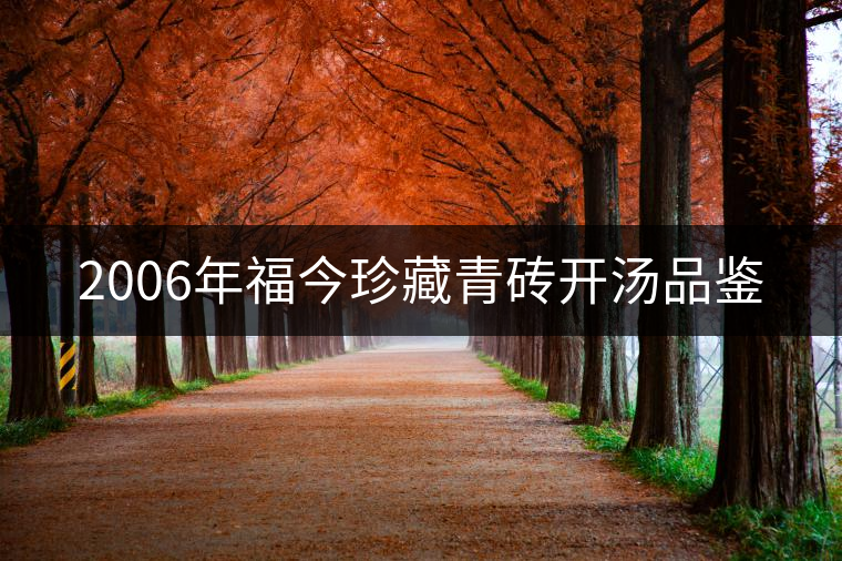 2006年福今珍藏青磚開(kāi)湯品鑒