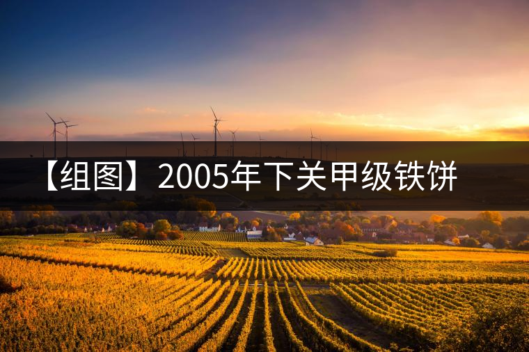 【組圖】2005年下關甲級鐵餅開湯