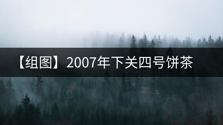 【組圖】2007年下關(guān)四號(hào)餅茶開(kāi)湯 【組圖】2007年下關(guān)四號(hào)餅茶開(kāi)湯