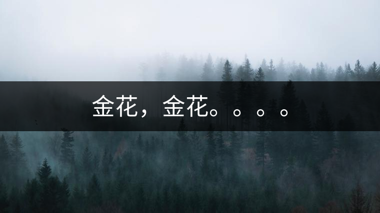 金花，金花。。。。