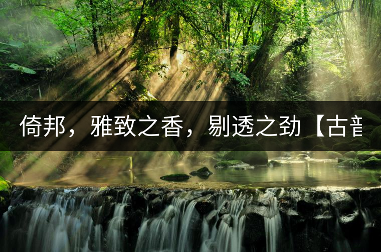 倚邦，雅致之香，剔透之勁【古普十二山品鑒】