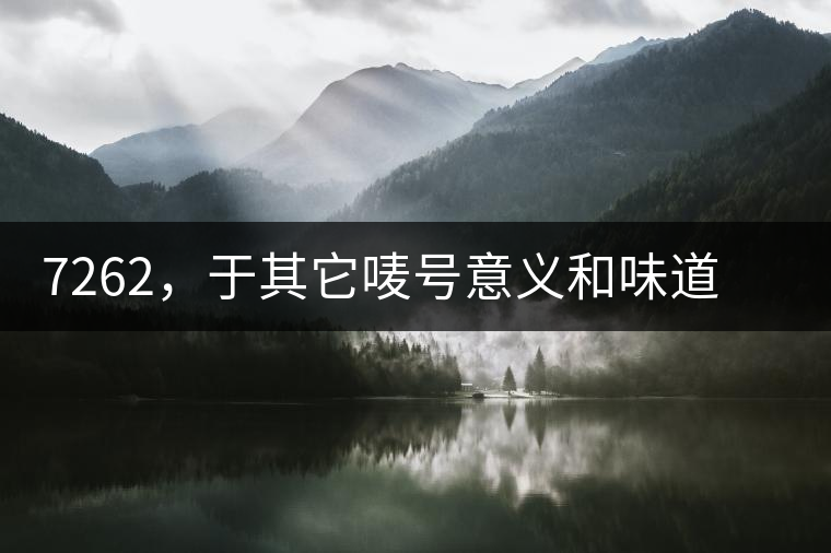 7262，于其它嘜號(hào)意義和味道都不一樣的大益高等級(jí)熟餅