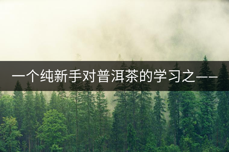 一個(gè)純新手對普洱茶的學(xué)習(xí)之——【韻】 一個(gè)純新手對普洱茶的學(xué)習(xí)之——【韻】