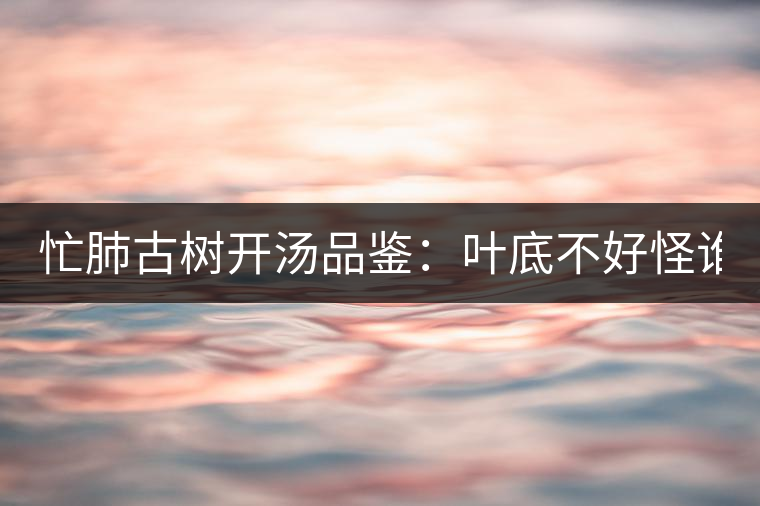 忙肺古樹開湯品鑒：葉底不好怪誰？