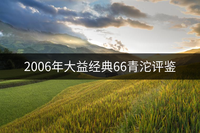 2006年大益經(jīng)典66青沱評(píng)鑒