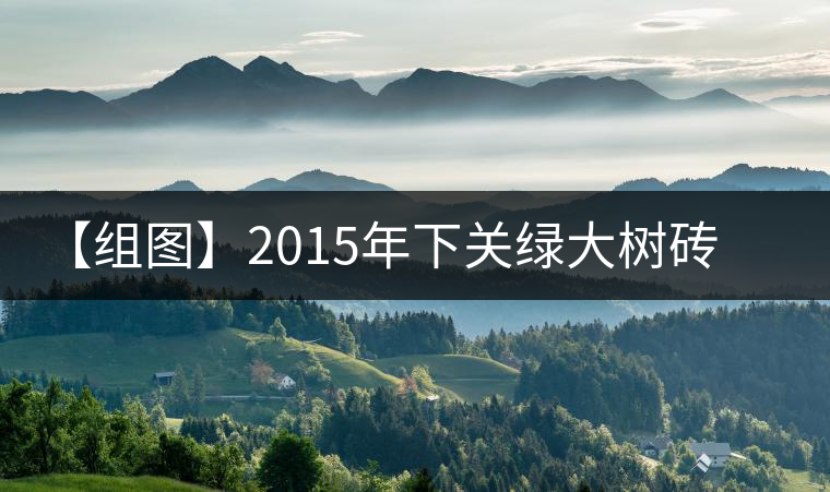 【組圖】2015年下關(guān)綠大樹(shù)磚茶開(kāi)湯