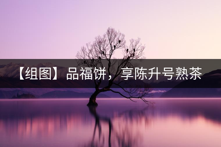 【組圖】品福餅，享陳升號(hào)熟茶滋味