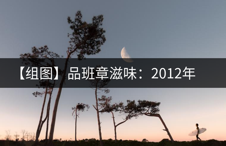 【組圖】品班章滋味：2012年陳升號(hào)銀班章開湯