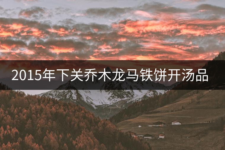 2015年下關喬木龍馬鐵餅開湯品鑒