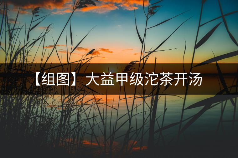 【組圖】大益甲級(jí)沱茶開(kāi)湯