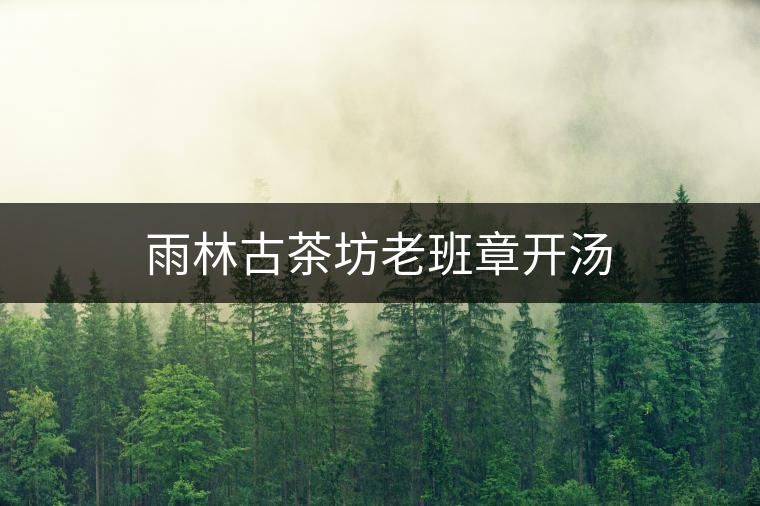 雨林古茶坊老班章開湯 雨林古茶坊老班章開湯