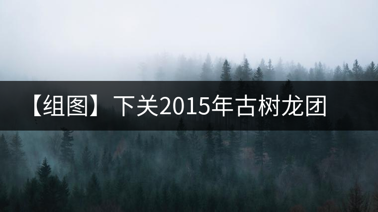 【組圖】下關2015年古樹龍團茶開湯 【組圖】下關2015年古樹龍團茶開湯