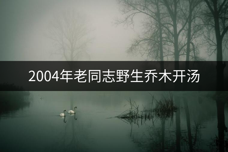 2004年老同志野生喬木開湯