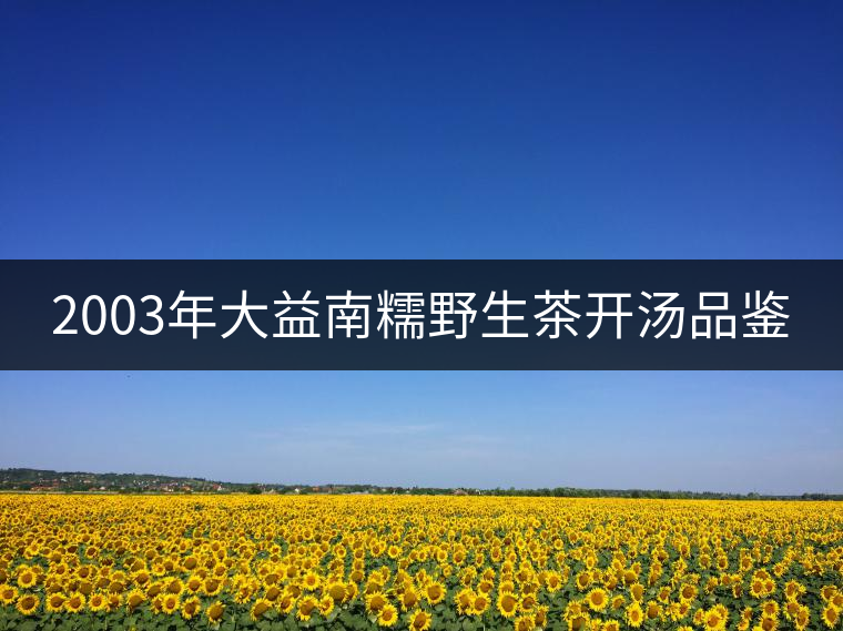 2003年大益南糯野生茶開(kāi)湯品鑒